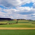 Landwirtschaft (Foto: Thomas Max Müller/Pixelio)