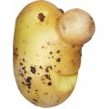 Kartoffelgesicht (Foto: Michael Jurman/Pixelio)