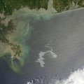 Ölteppich der Deepwater Horizon (Foto: NASA)